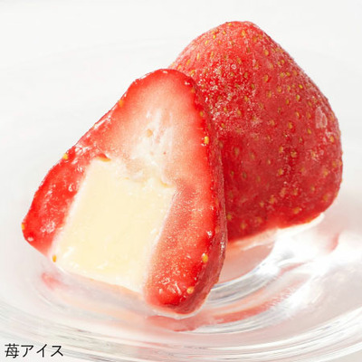 【旬ギフト】苺アイスとひとくちアイスB_補足画像02