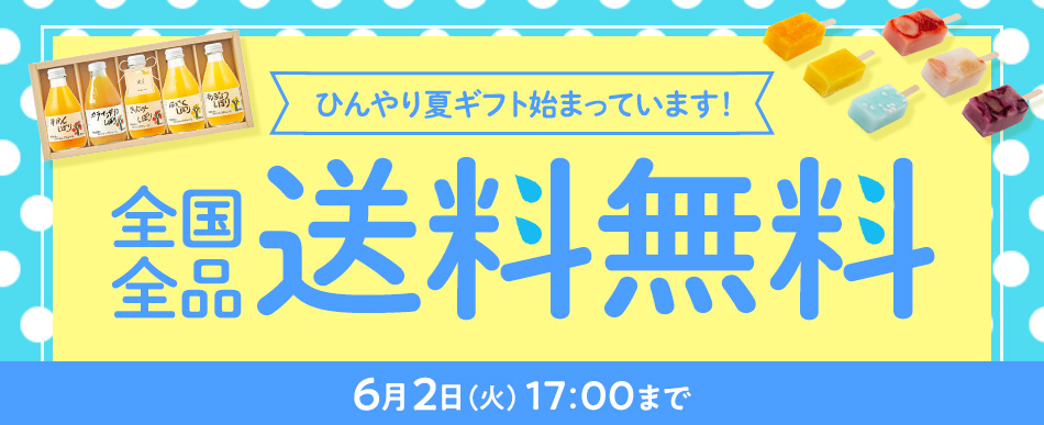全国全品送料無料は6/2(火)17時まで