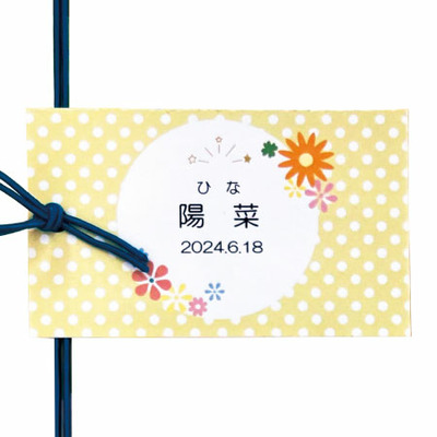 ココがおすすめ！