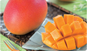 選べる贈り物のイメージ