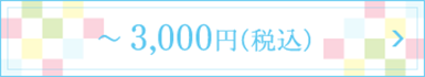 ～3,000円(税込)