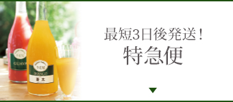 最短3日後発送！特急便