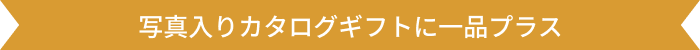 写真入りカタログギフトに一品プラス