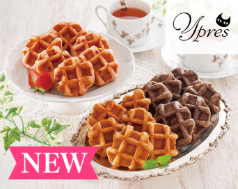 イーペルの猫祭り ベルギーミニワッフル