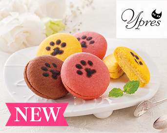 イーペルの猫祭り サンドクッキー