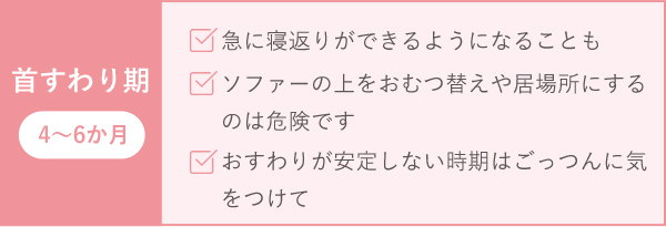 首すわり期 4~6か月