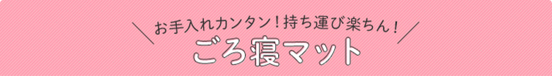 お手入れカンタン！持ち運び楽ちん！ ごろ寝マット
