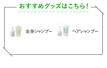 おすすめグッズはコチラ! 全身シャンプー シャワーヘッド ヘアシャンプー パタッとたためるバスマット