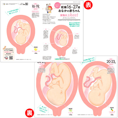 中期のたまごクラブ2025年秋号_補足画像09
