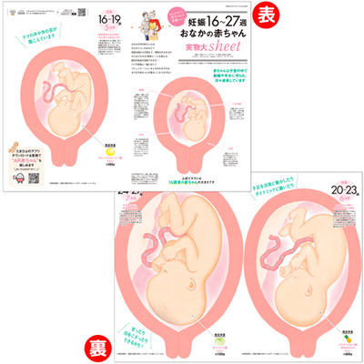 中期のたまごクラブ2026年冬号_補足画像09