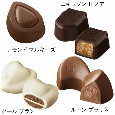 【プレミアム優待】ゴディバ たまひよオリジナルクッキー＆チョコレートアソートメントA_補足画像05