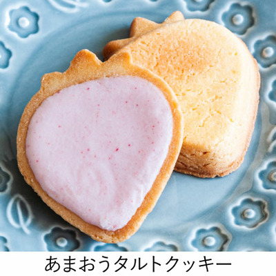 【旬ギフト】苺のワルツ 2種のギフトM_補足画像04