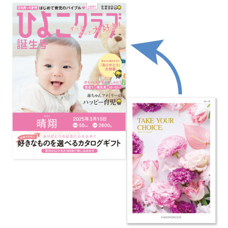 【旬ギフト】「ひよこクラブ」なりきり表紙 写真＆名入れカタログギフト テイク・ユア・チョイス ローズ
