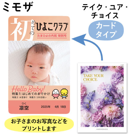 【旬ギフト】「ひよこクラブ」なりきり表紙 写真＆名入れカタログギフト カードタイプ HAU