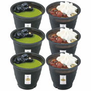 【旬ギフト】京祇園中村楼 和のプリンC