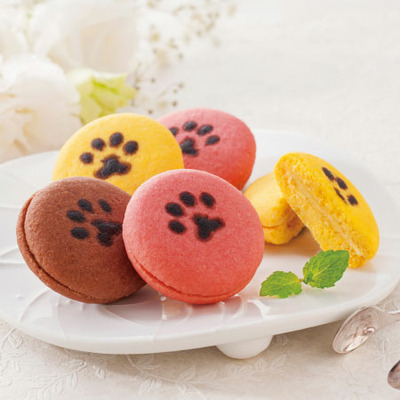 【旬ギフト】イーペルの猫祭り サンドクッキー_補足画像01