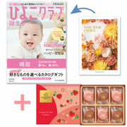 【旬ギフト】「ひよこクラブ」なりきり表紙 写真＆名入れカタログ テイクユアチョイス カルミアとゴディバ あまおう苺クッキー18枚入