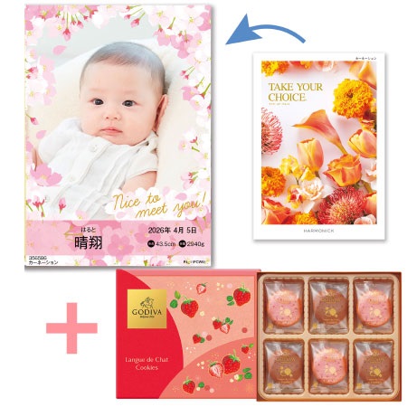 【旬ギフト】写真＆名入れ季節のごあいさつカタログ テイクユアチョイス カーネーションとゴディバ あまおう苺クッキーアソート18枚入_