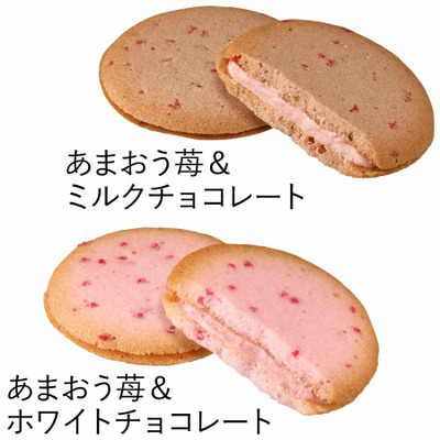 【旬ギフト】写真＆名入れ季節のごあいさつカタログ テイクユアチョイス カルミアとゴディバ あまおう苺クッキーアソート18枚入_補足画像10