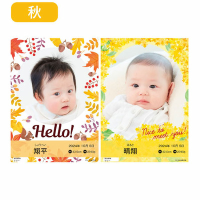 【旬ギフト】写真＆名入れ季節のごあいさつカタログ テイクユアチョイス ミモザとゴディバ あまおう苺クッキーアソート18枚入_補足画像05