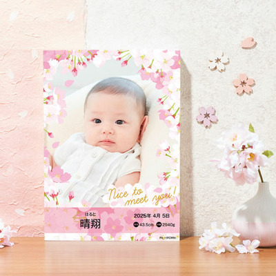 【旬ギフト】写真＆名入れ季節のごあいさつカタログ テイクユアチョイス オンシジウムとゴディバ あまおう苺クッキーアソート18枚入_補足画像01