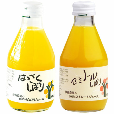 【旬ギフト】伊藤農園 名入れ100％ピュアジュース＆パックソルベセット_補足画像04