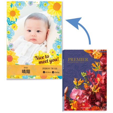 【旬ギフト】写真＆名入れ季節のごあいさつカタログギフト プルミエ サンパティーク_