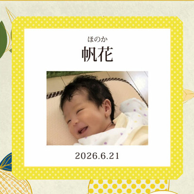 【旬ギフト】ゴディバ 写真＆名入れサブレショコラ〈瀬戸内レモン〉9個入_補足画像07