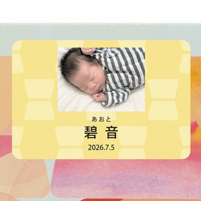 【旬ギフト】アンリ・シャルパンティエ 写真＆名入れテリーヌ・ドゥ・フリュイ・アソートL（木製しおり付き）とプルミエ モデスト_補足画像09