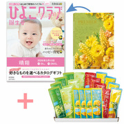 【旬ギフト】「ひよこクラブ」なりきり表紙 写真＆名入れカタログ プルミエ エクラタンとゴールドパック 凍らせて食べるシャーベット20本入