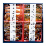 山陰大松 氷温熟成お魚ギフトD