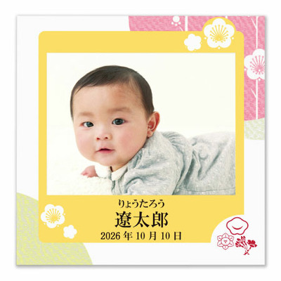 辻が花 写真＆名入れ京野菜お吸い物最中詰合せ8個とプルミエ パシアン_補足画像04