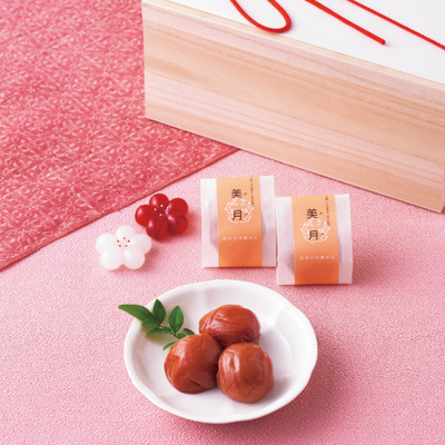 五代庵 名入れ紀州梅詰合せ15粒_補足画像01