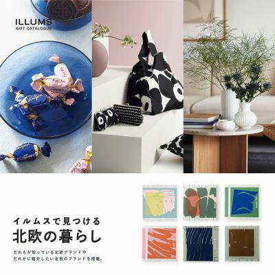 イルムス ストロイエコース_補足画像07