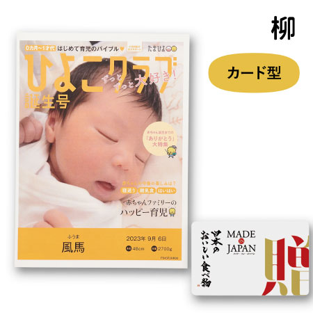 【旬ギフト】なりきり表紙 カード型カタログギフト  メイドインジャパン with 日本のおいしい食べ物 MJ21＋柳