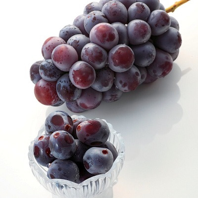 【旬ギフト】写真＆名入れ なりきり表紙 カード型カタログギフト フルーツチョイス F10_補足画像06