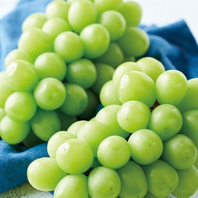 【旬ギフト】写真＆名入れ なりきり表紙 カード型カタログギフト フルーツチョイス F16_補足画像06