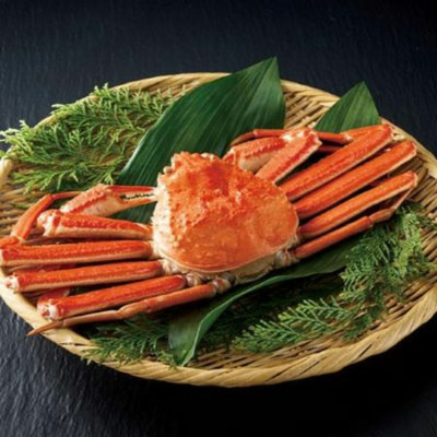 【旬ギフト】「ひよこクラブ」なりきり表紙 写真＆名入れカタログ ウルアオ ヘッセニアと三宅商店カフェ工房 ジャムセットB_補足画像05