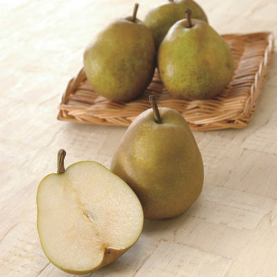 【旬ギフト】写真＆名入れ なりきり表紙 カード型カタログギフト フルーツチョイス F06-C フレーム付き_補足画像06