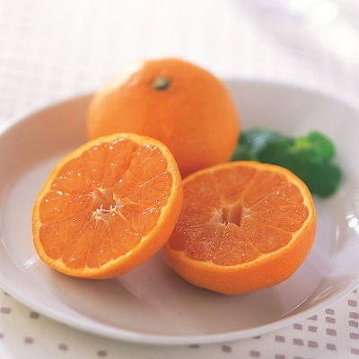 【旬ギフト】写真＆名入れ なりきり表紙 カード型カタログギフト フルーツチョイス F10-C フレーム付き_補足画像08