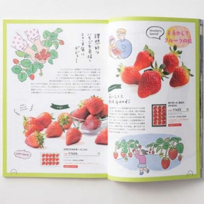 「ひよこクラブ」なりきり表紙 写真＆名入れカタログ umashima（うましま） 月とフィナンシェ＆ウェッジウッド22個_補足画像07