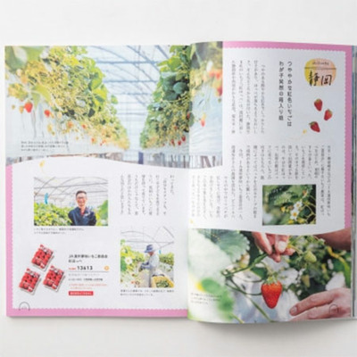 「ひよこクラブ」なりきり表紙 写真＆名入れカタログ umashima（うましま） 凪とフィナンシェ＆ウェッジウッド22個_補足画像04