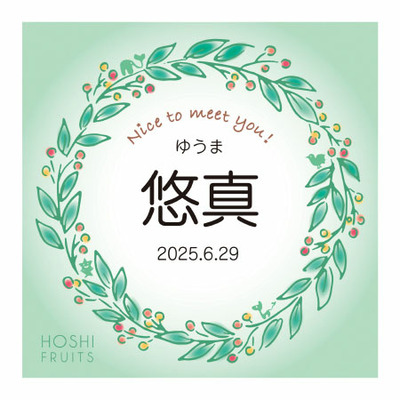 望月シェフ×ホシフルーツ 名入れ 7種のフルーツが詰まったデザートパウンドケーキ6個入_補足画像04