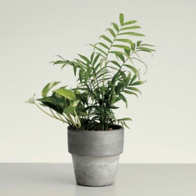 【旬ギフト】ユナイテッドアローズ THE GIFT LIST GRコース ＋ タオルセット_補足画像04