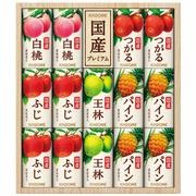 【旬ギフト】カゴメ 国産プレミアムフルーツジュースギフトA