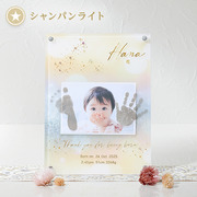 星座・誕生石付き　手形足形クリアフレーム　シャンパンライト【お仕立券】